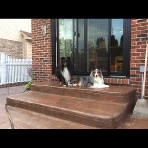 Meet your Posher, Cheryl